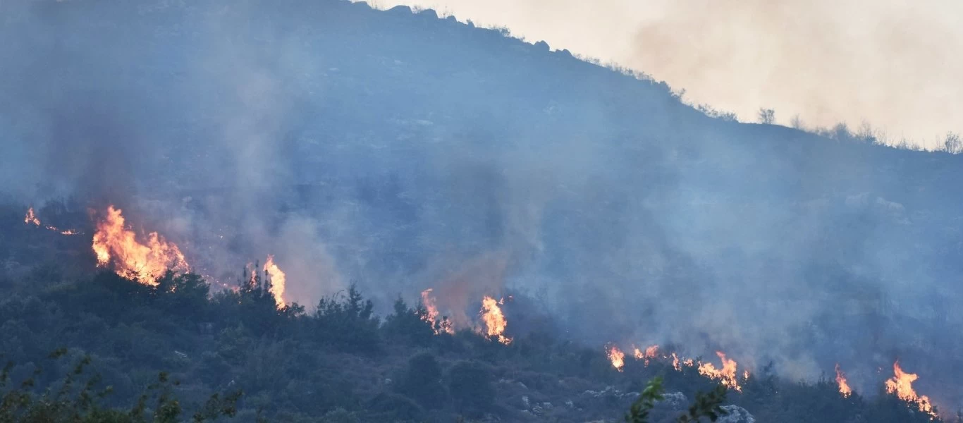 Συρία: Συνεχίζονται οι φωτιές στα δάση για 8η μέρα - «Μάχη» για πυροσβέστες και στρατό